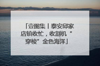 壹图集丨泰安邱家店镇收忙，收割机“穿梭”金色海洋
